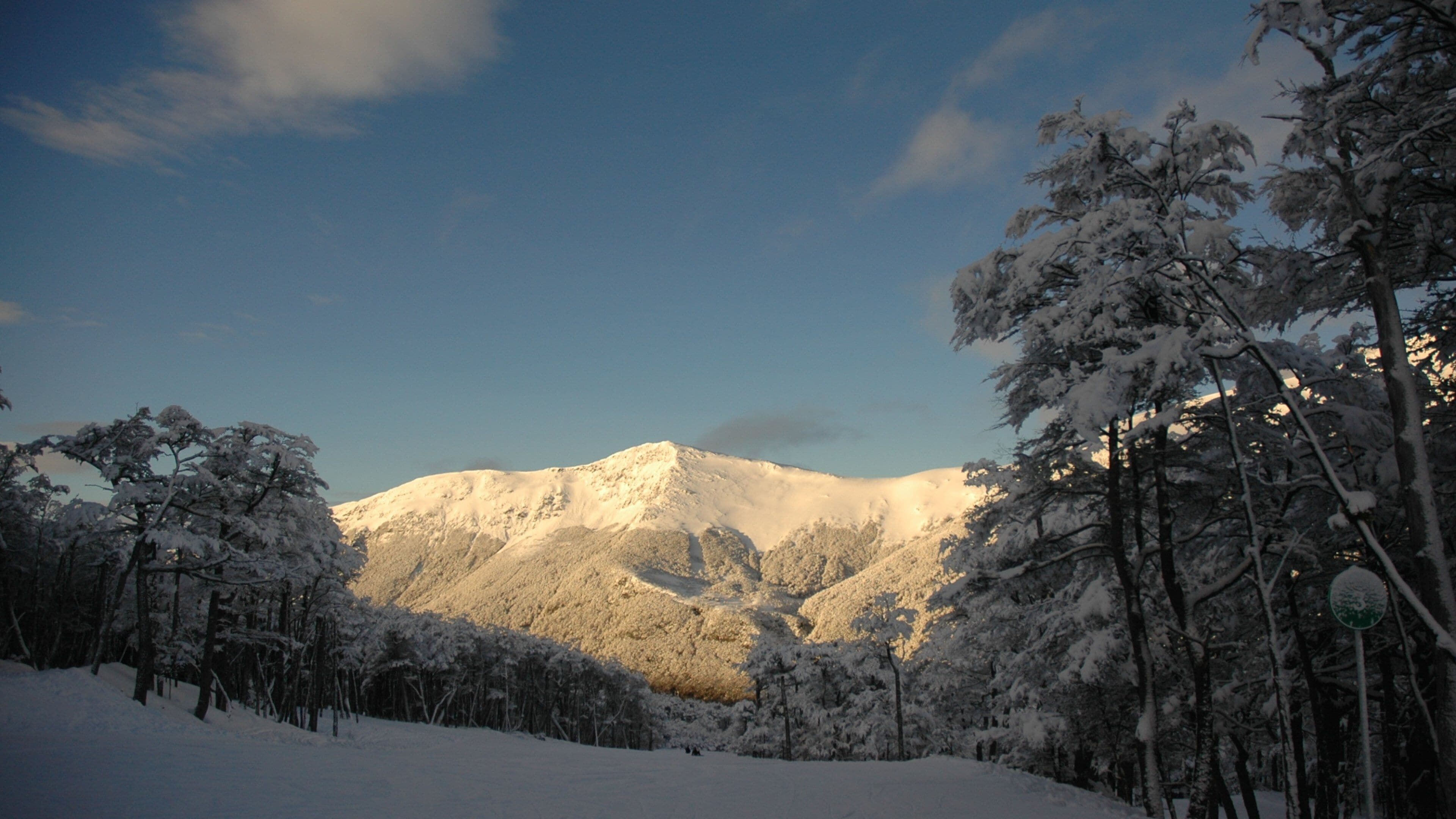 Uma cordilheira coberta de neve com árvores ao primeiro plano.