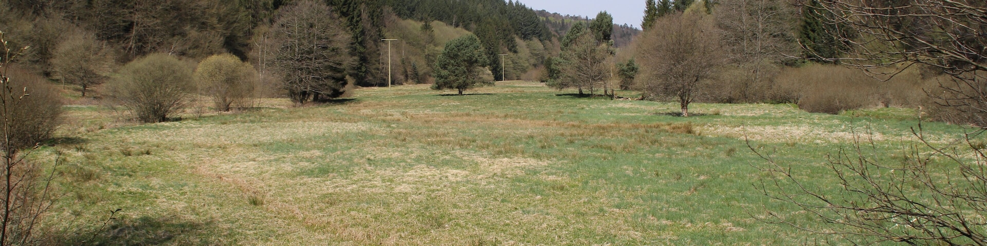 Das Naturschutzgebiet Spessartwiesen nördlich von Wiesthal, Bayern