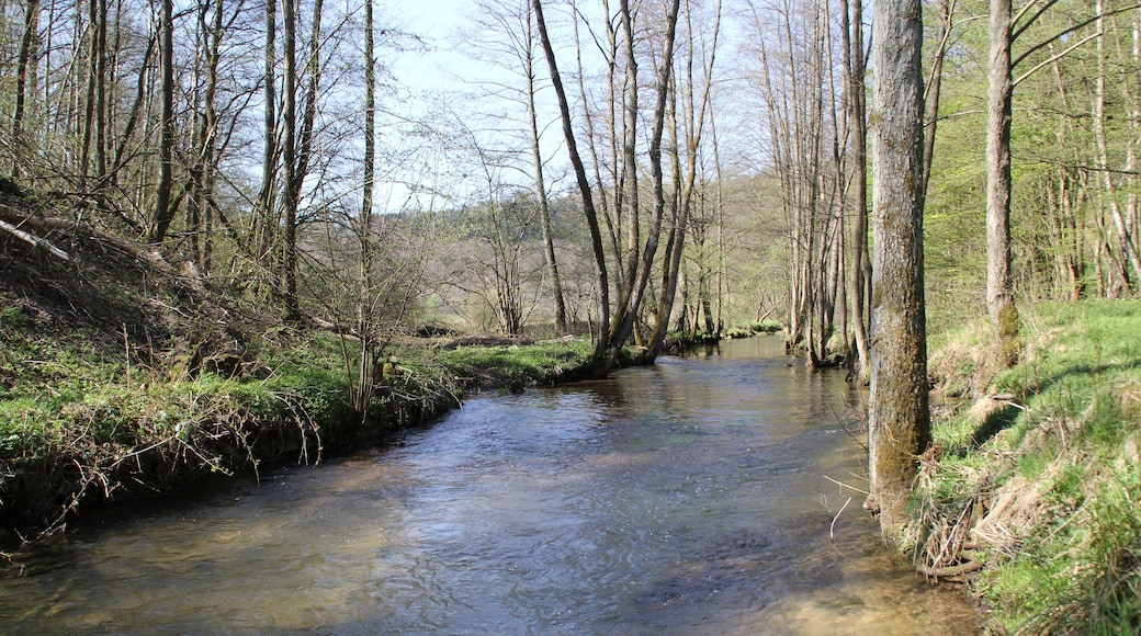 Der Aubach bei Krommenthal, Bayern