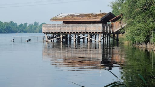 Saunagarten Mainparksee