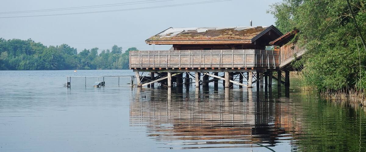A wooden pier extending into a calm lake, surrounded by dense trees.