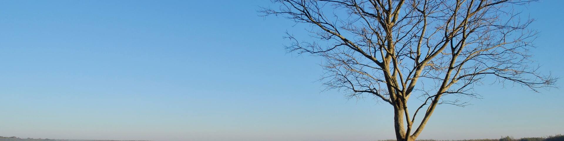Greater Chaco Region showing wetlands and a lake or waterhole