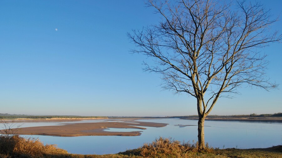 Greater Chaco Region