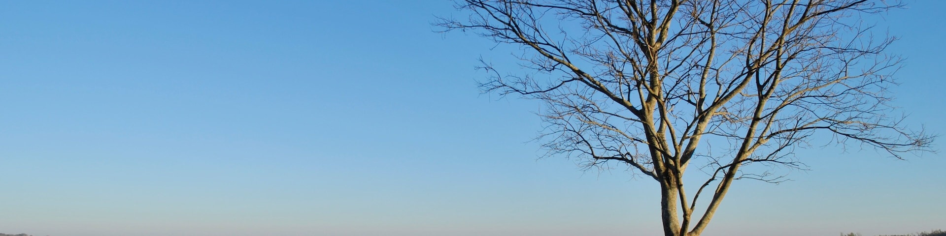 Greater Chaco Region showing wetlands and a lake or waterhole