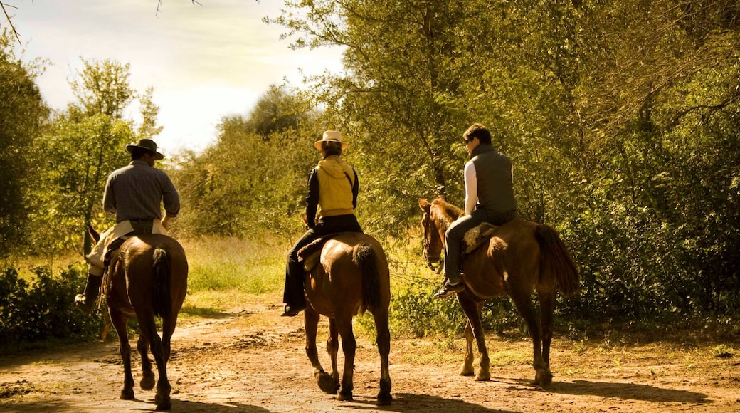 Chaco which includes horse riding and land animals as well as a small group of people