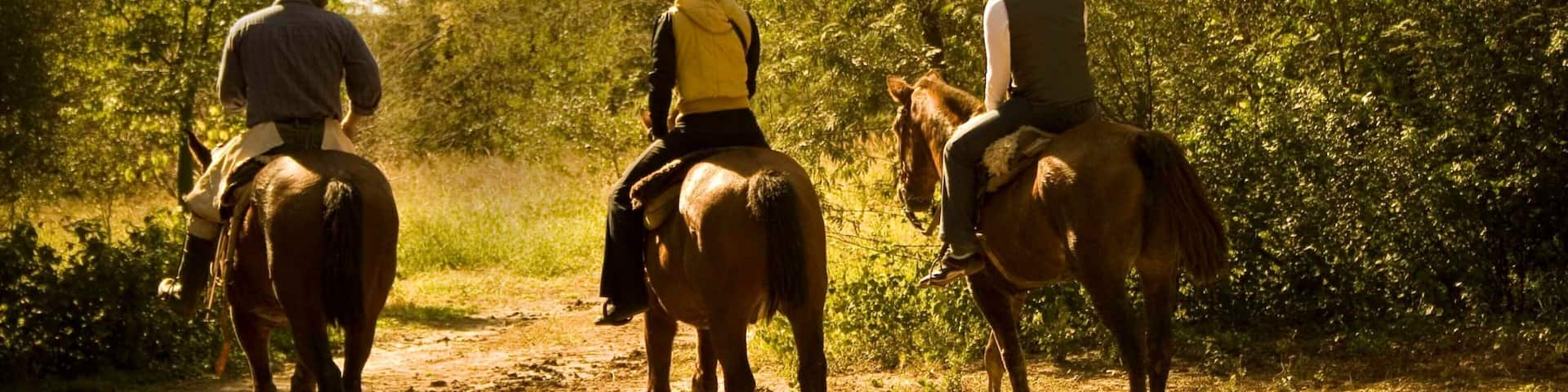 Chaco featuring horseriding and land animals as well as a small group of people
