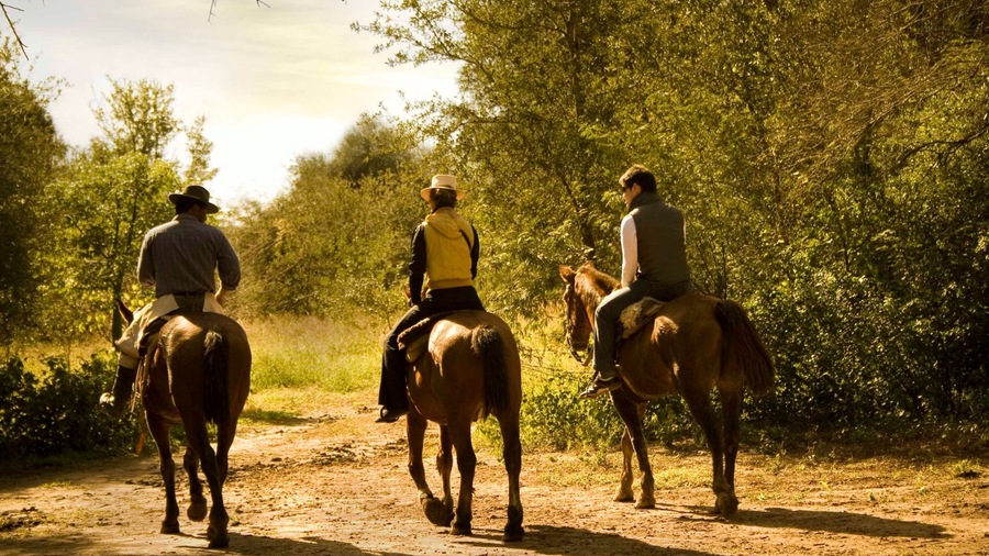 Chaco caracterizando cavalgada e animais terrestres assim como um pequeno grupo de pessoas