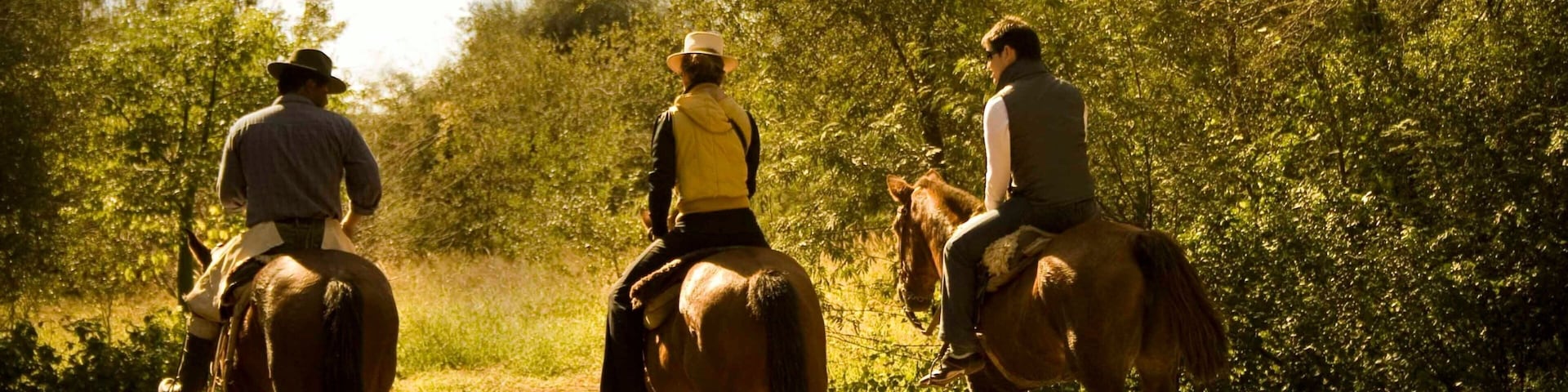 Chaco featuring horseriding and land animals as well as a small group of people