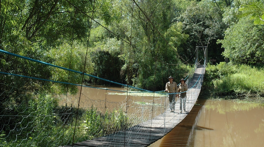 Chaco featuring hiking or walking, a river or creek and a bridge
