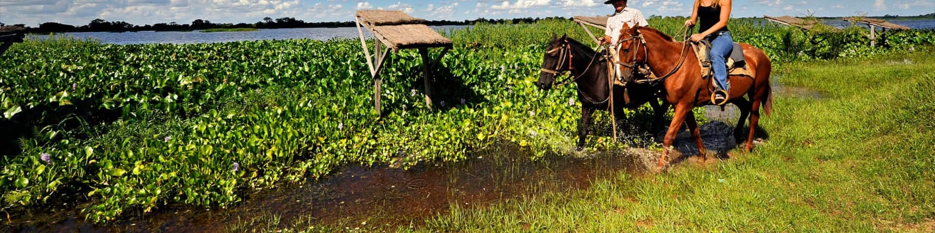 Formosa mostrando fazenda, cavalgada e animais terrestres