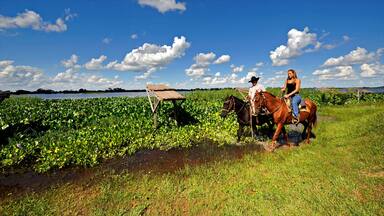 A field with water hyacinths, a wooden structure, and two horses with riders.