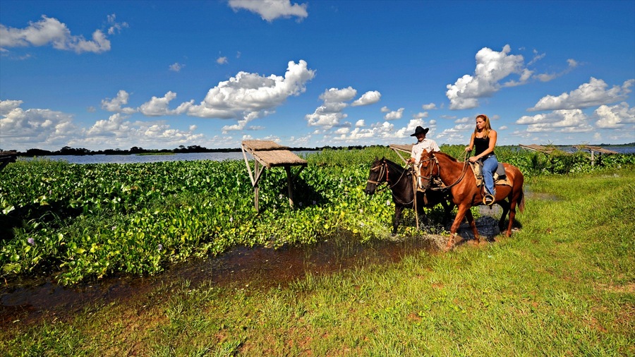 Formosa showing farmland, land animals and horse riding