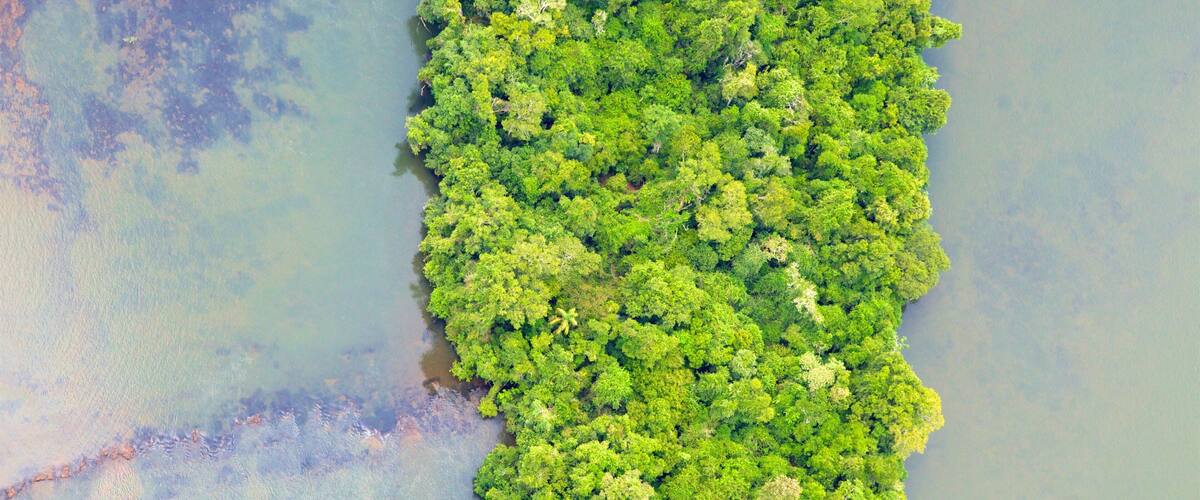 Mesopotamia og byder på en flod eller et vandløb og skovområder
