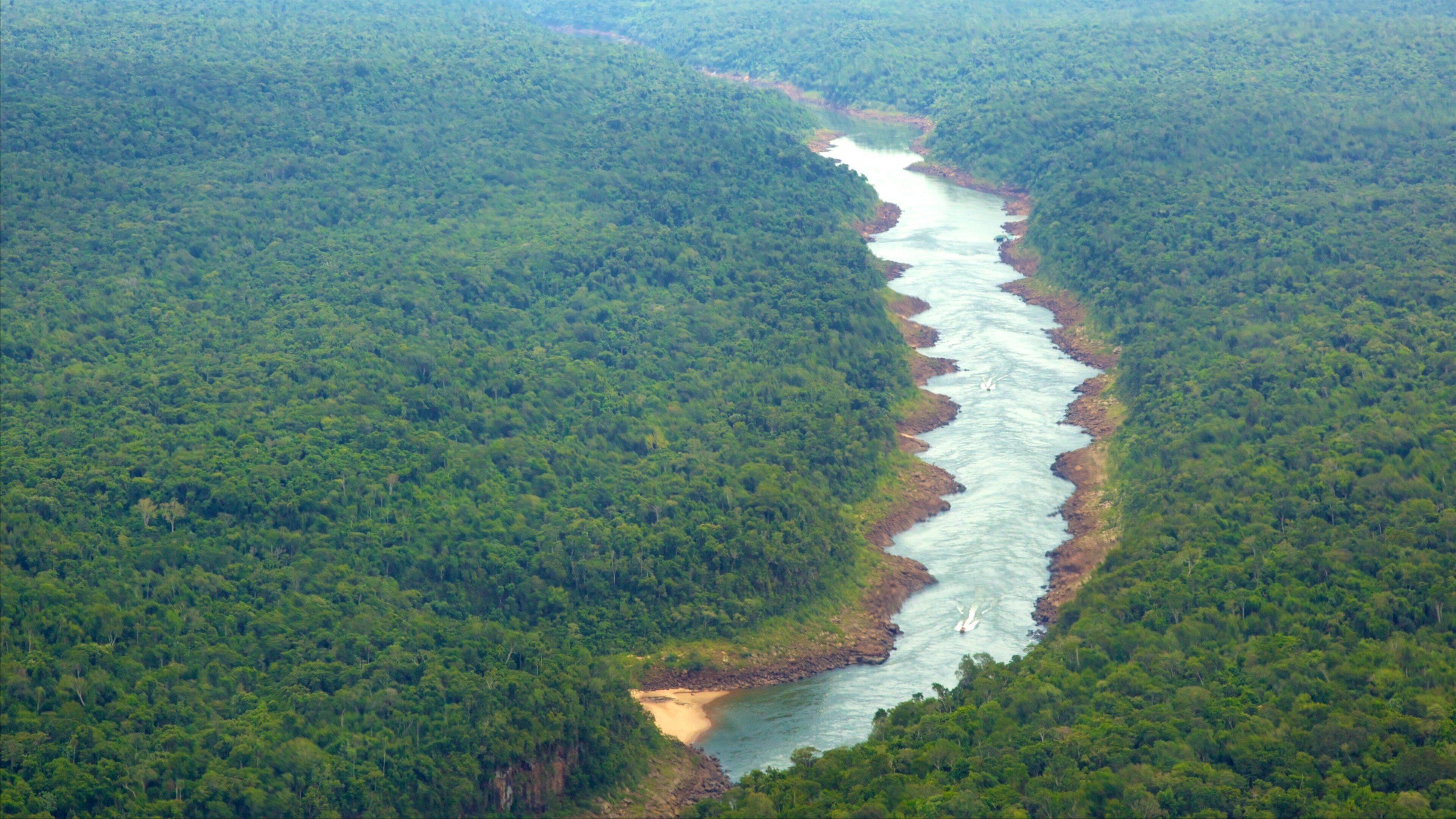 A river winding through a dense forest.
