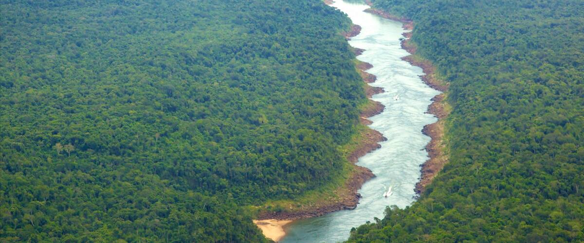 A river winding through a dense forest.