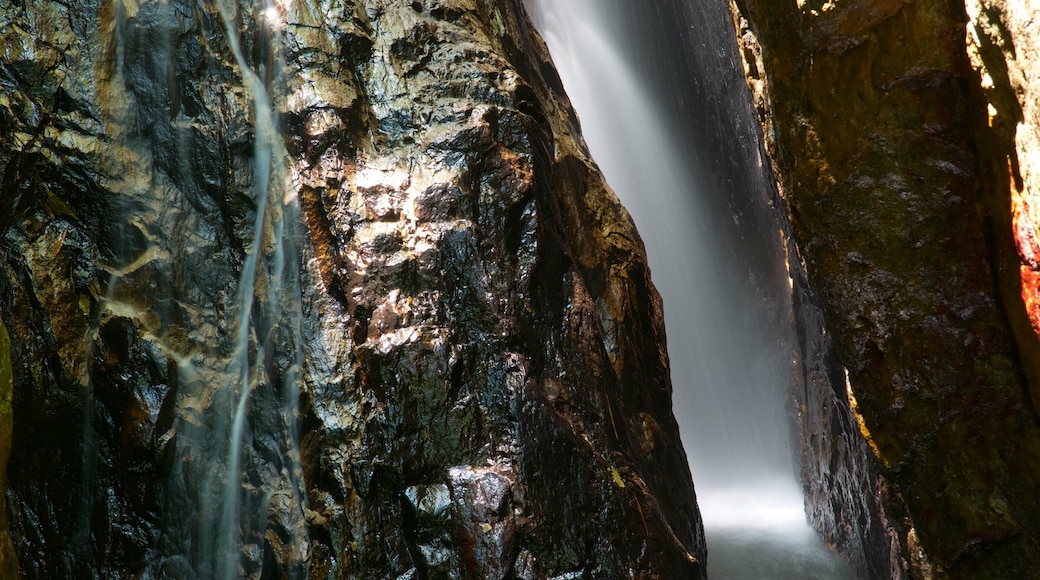 Phuket mostrando una cascada