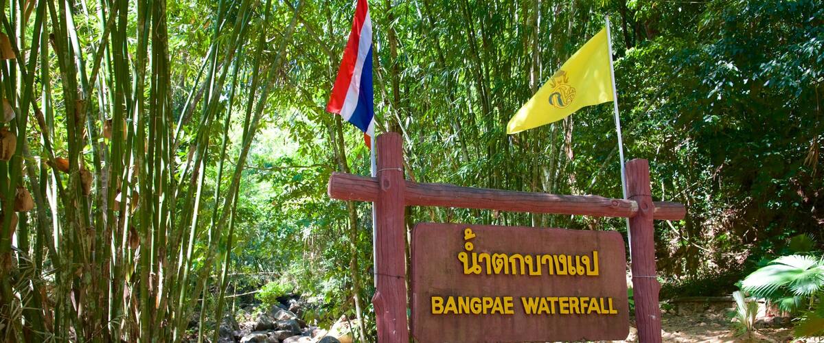 น้ำตกบางแป เนื้อเรื่องที่ ป่า และ ป้าย