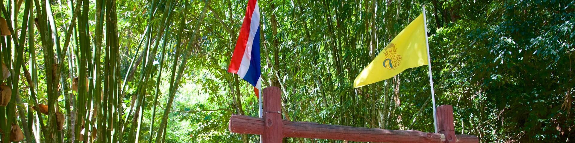 A sign for Bangpnae Waterfall with Thai script and a flag.
