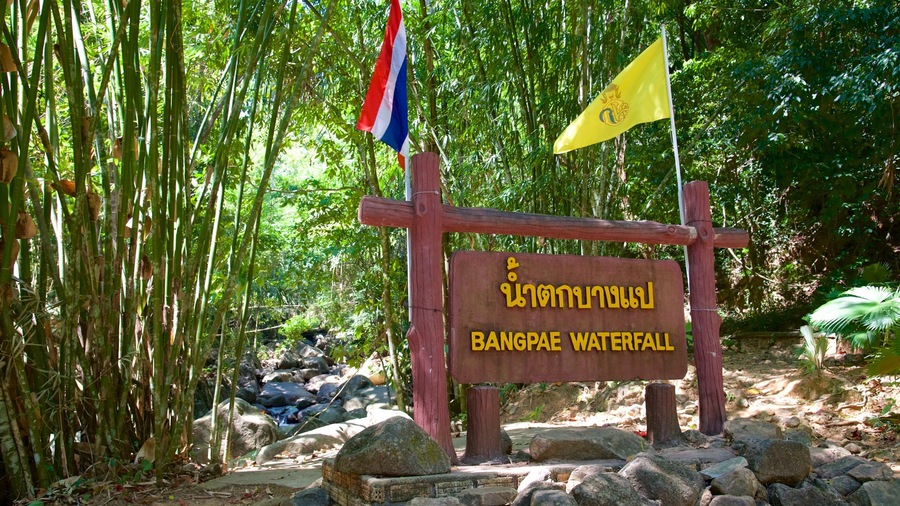 Bang Pae Waterfall showing signage and forests
