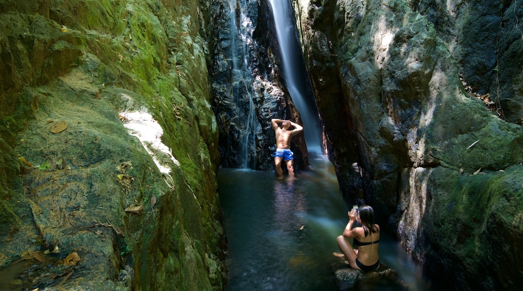 Phuket mettant en vedette rivière ou ruisseau et chute d\'eau aussi bien que couple