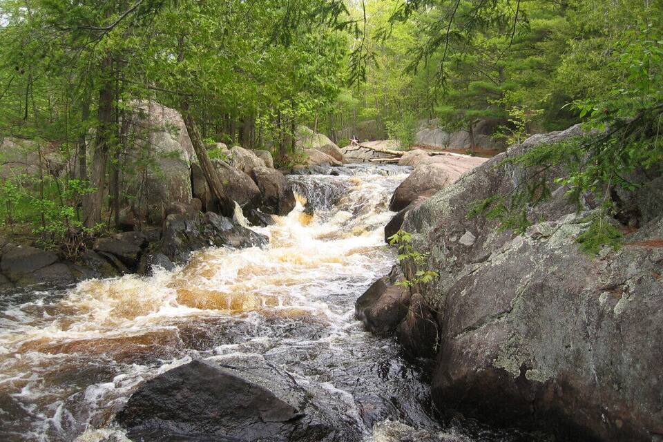 Un río caudaloso con rocas y árboles.