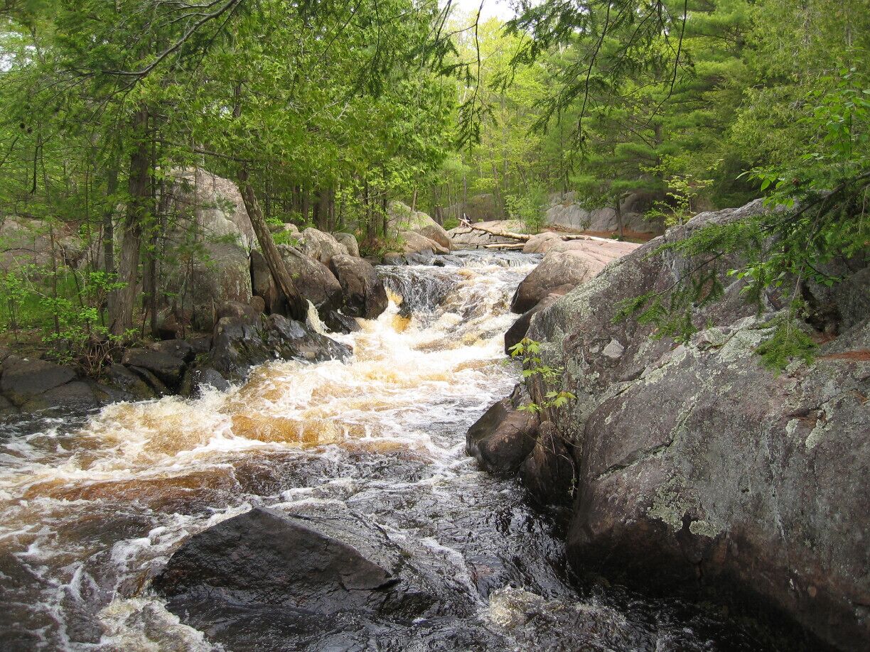 A fast-flowing river with rocks and trees.