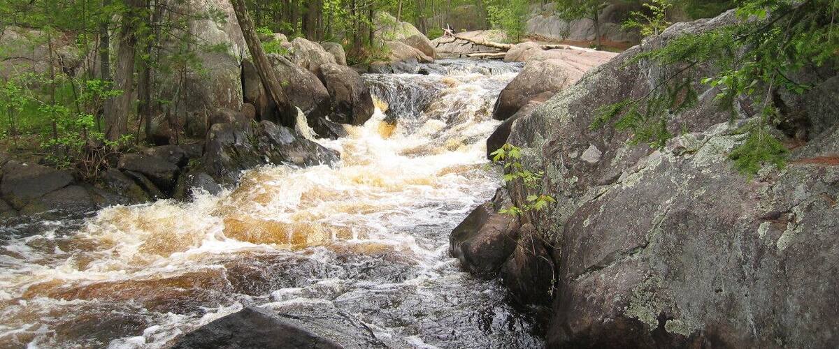 A fast-flowing river with rocks and trees.