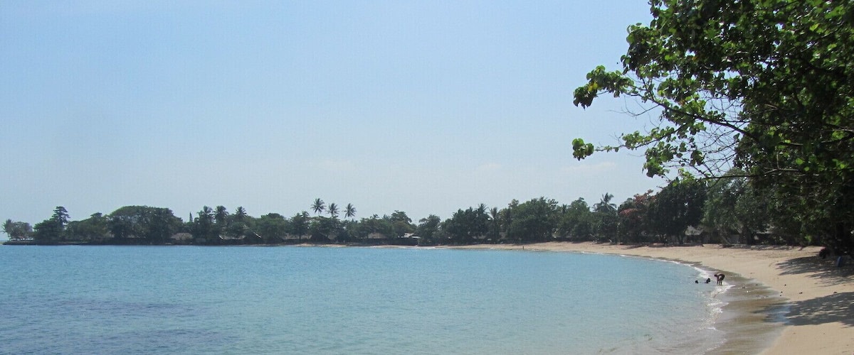 A sandy beach with calm waters, a small dog near the water's edge, and a line of trees in the background.