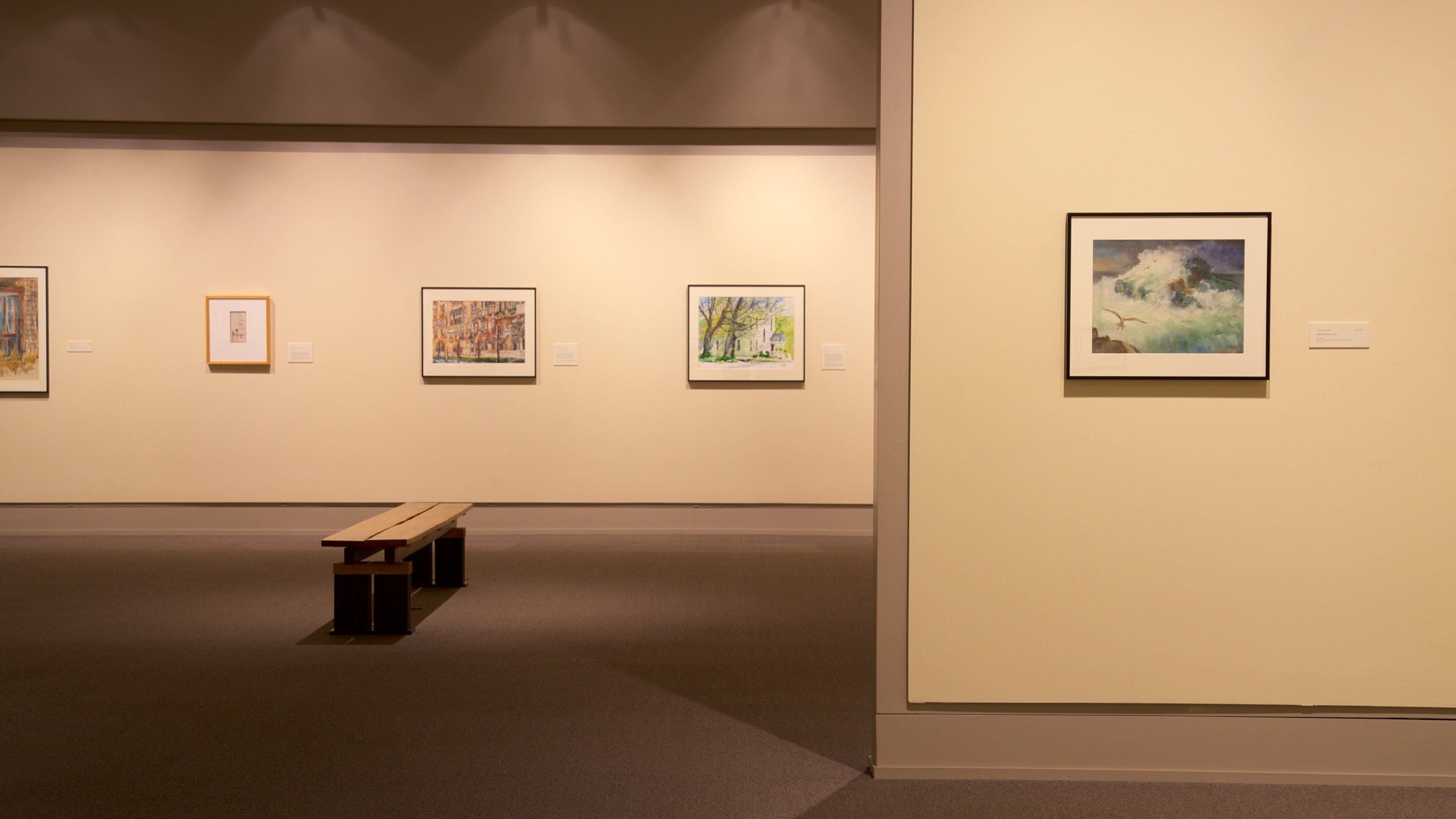 Cedar Rapids Museum of Art featuring sisäkuvat ja taide