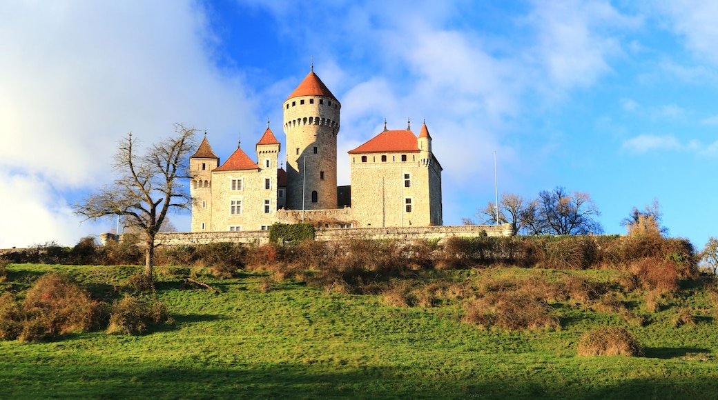 切兰河畔阿尔比