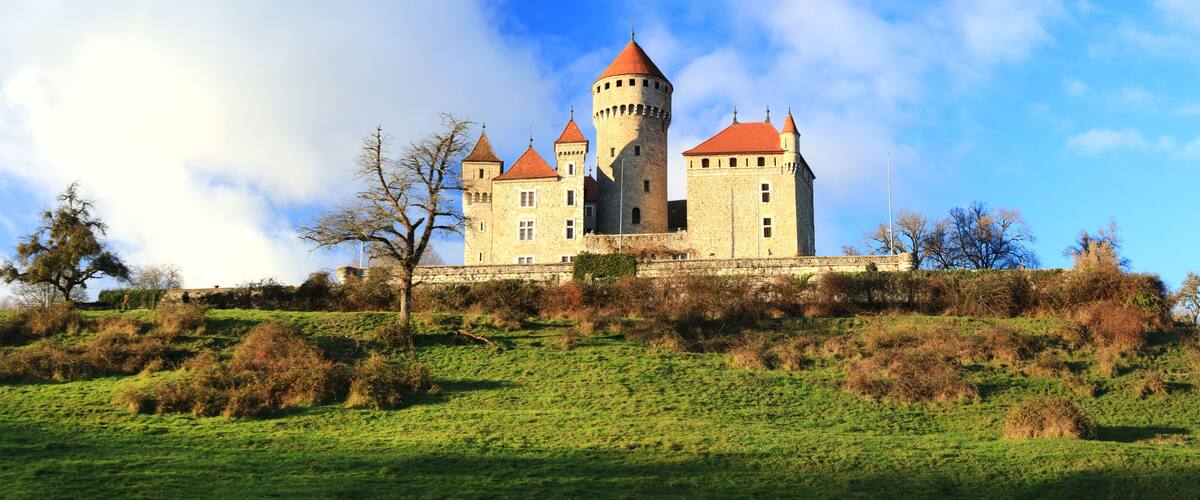 A castle with multiple towers and a red roof, surrounded by green hills and trees.