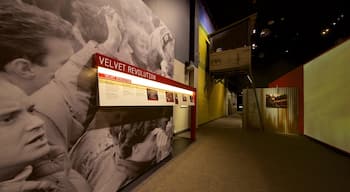 National Czech and Slovak Museum and Library featuring interior views