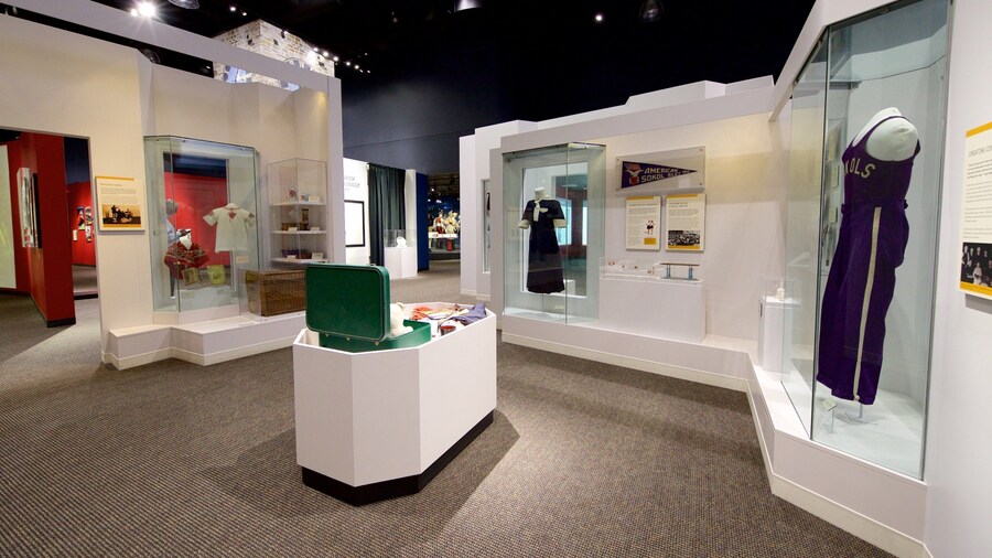 National Czech and Slovak Museum and Library which includes interior views
