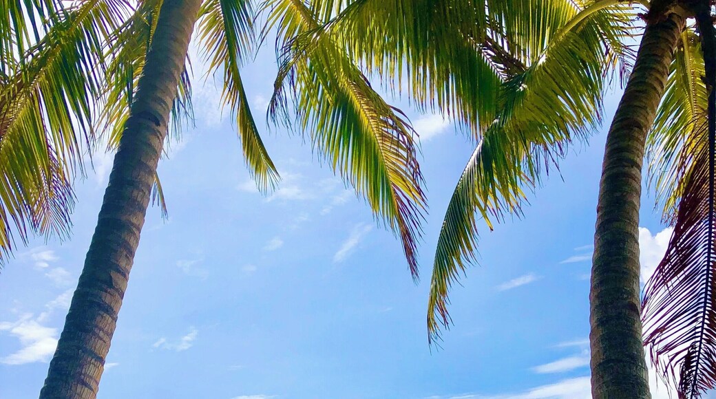 The island hopping tour allows us to stop here for an hour to rest and relax