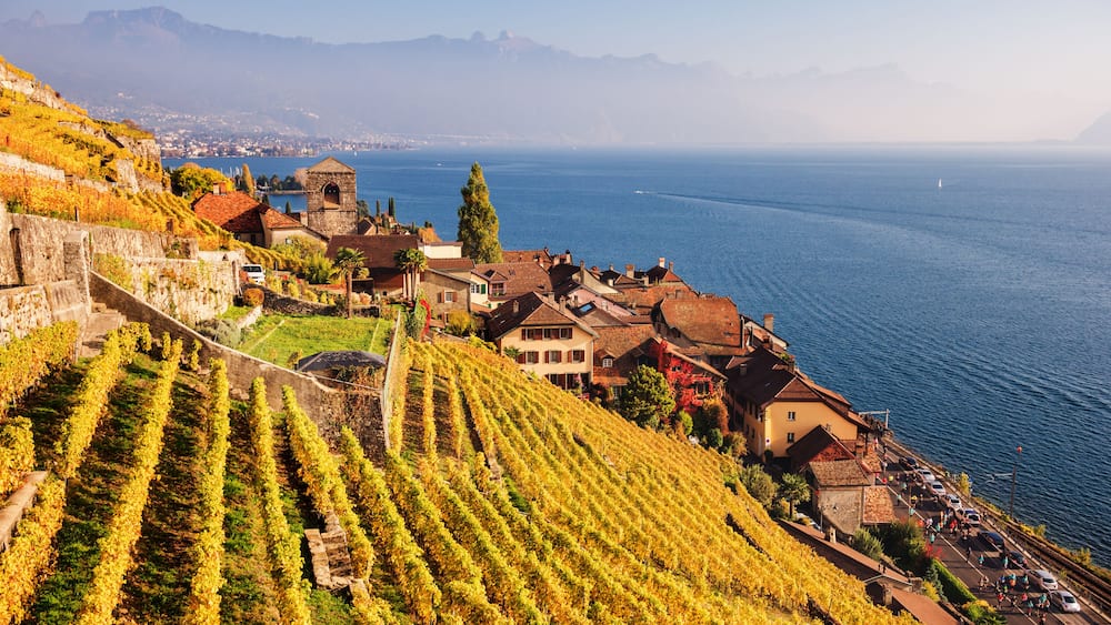 Vineyard terraces at Lake Geneva in autumn, Lavaux, Vaud, Switzerland
