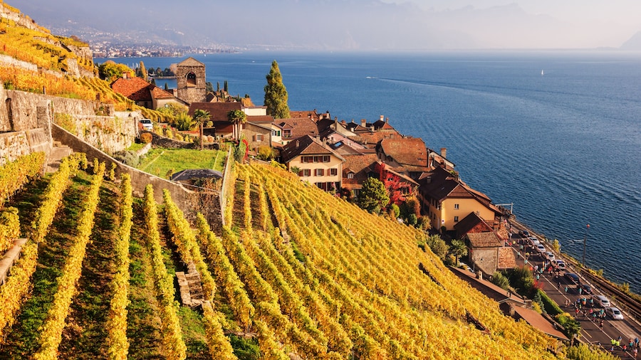 Vineyard terraces at Lake Geneva in autumn, Lavaux, Vaud, Switzerland