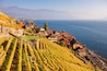 Lavaux, Weinberg-Terrassen