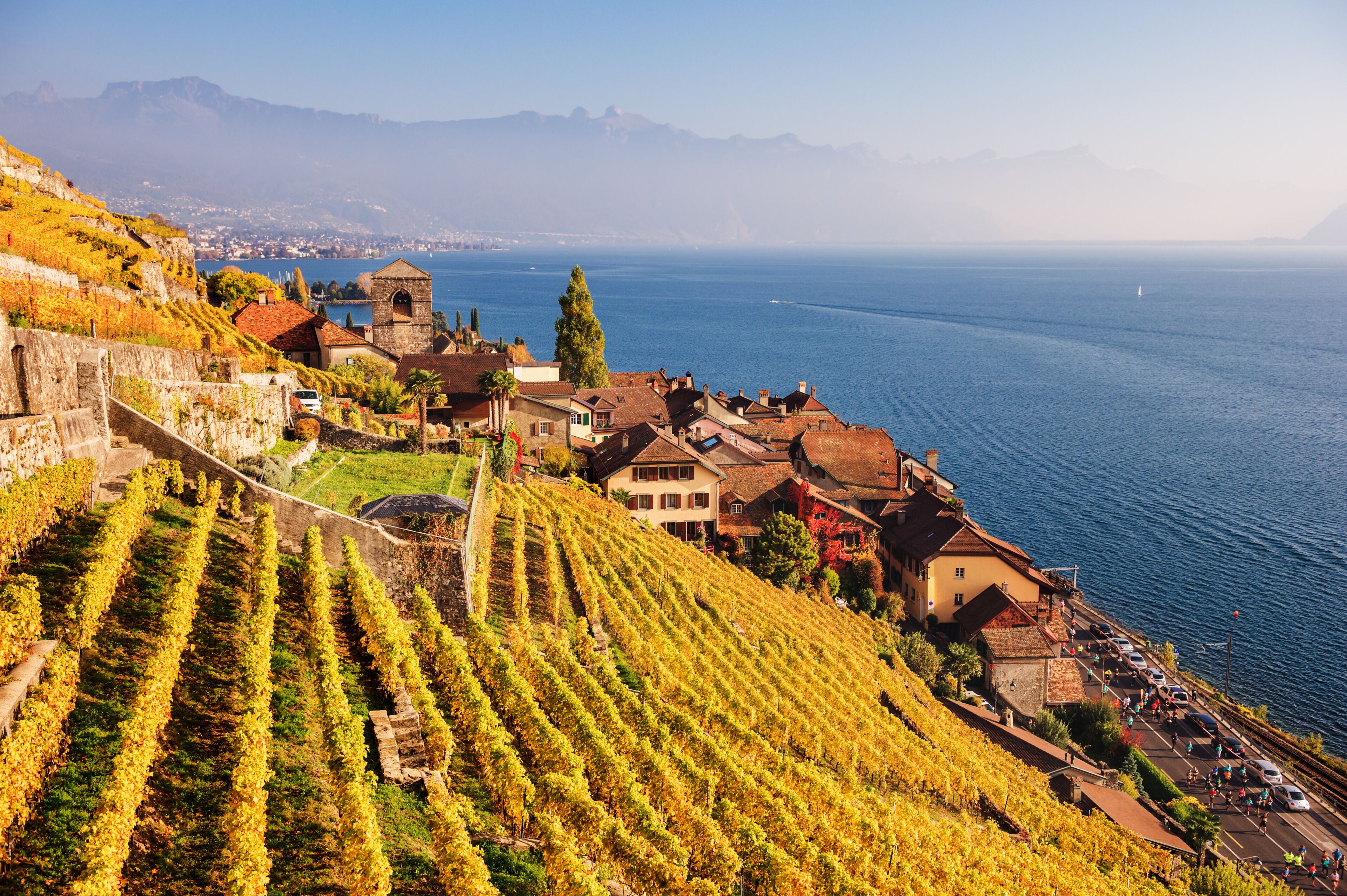 A coastal town with vineyards, historic buildings, and a view of the sea.