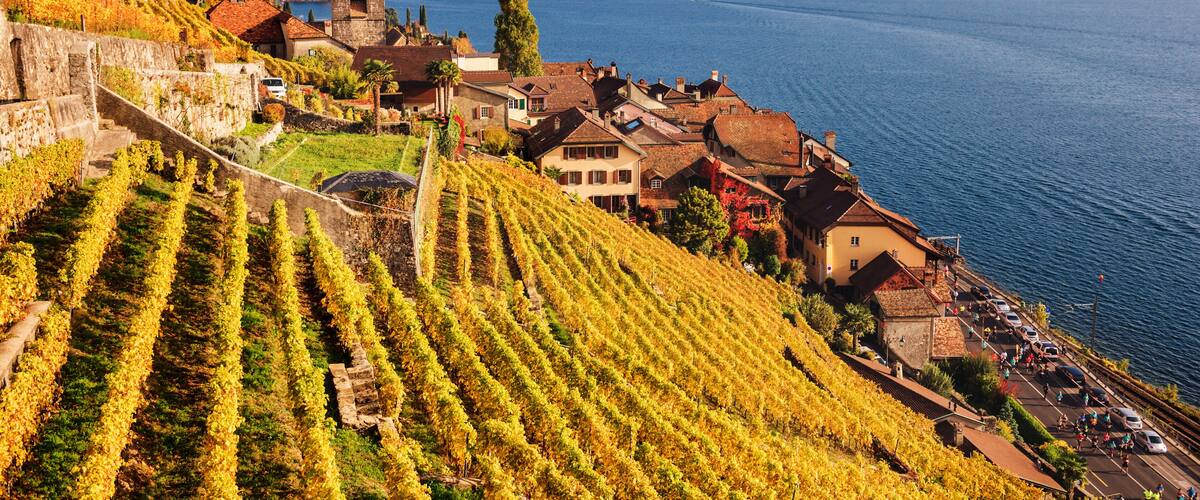 A coastal town with vineyards, historic buildings, and a view of the sea.