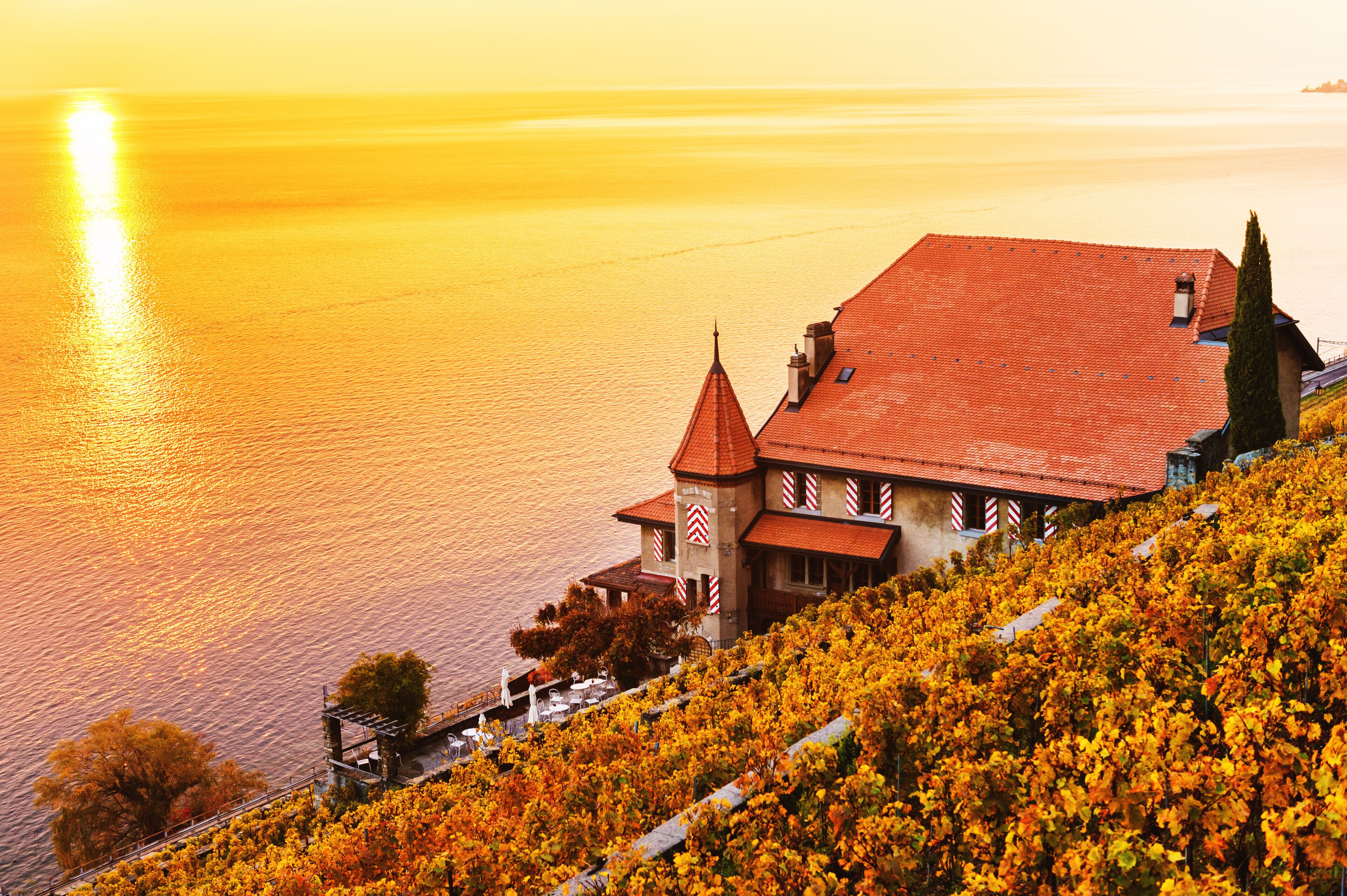Vigneti terrazzati di Lavaux