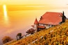 Vigneti terrazzati di Lavaux