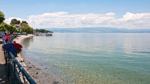 Publier, Amphion-les- Bains beach, Lake Geneva, near Evian-les-Bains