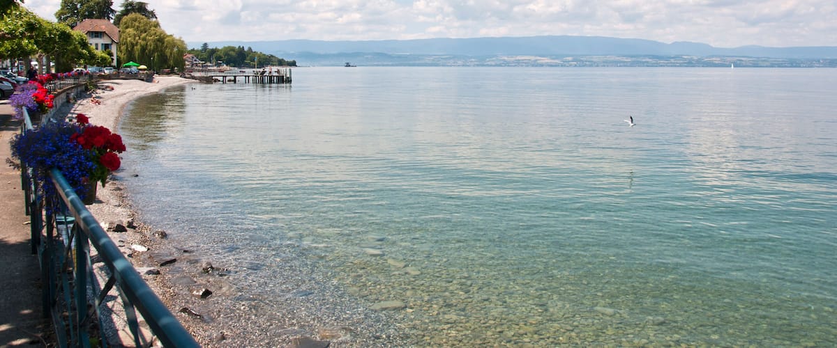 A calm lake with a clear shoreline, a pier extending into the water, and a row of colorful flowers along the edge.