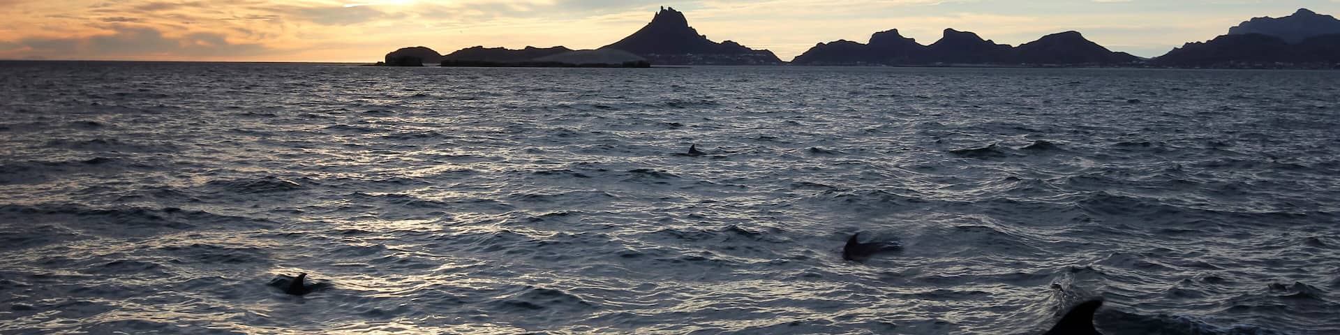 A sunset over a body of water with dolphins and distant mountains.