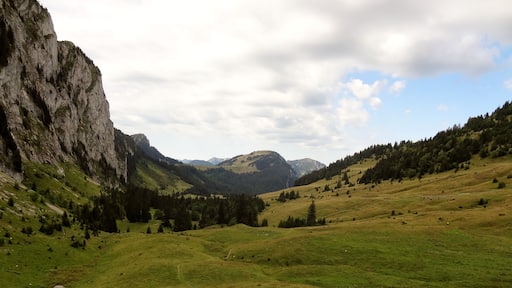 74360 Vacheresse, France