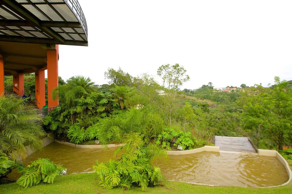 Um jardim exuberante com um espelho d'água, rodeado por vegetação densa e um edifício com pilares laranja.