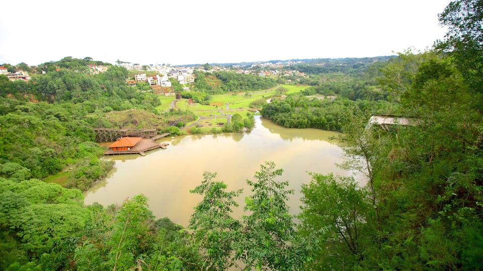 A river surrounded by lush greenery and a small wooden structure.