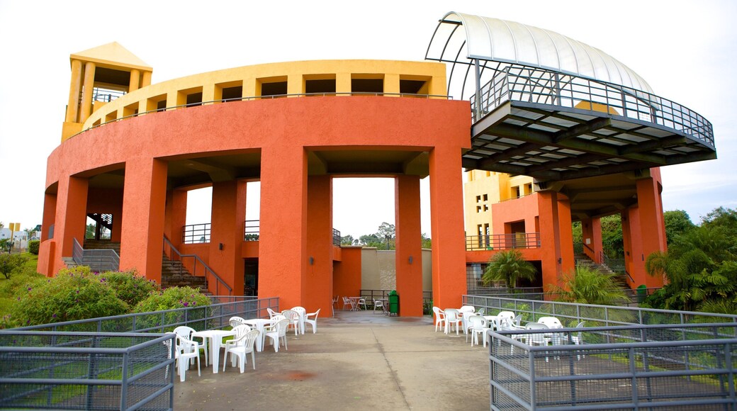 Tangua Park showing modern architecture