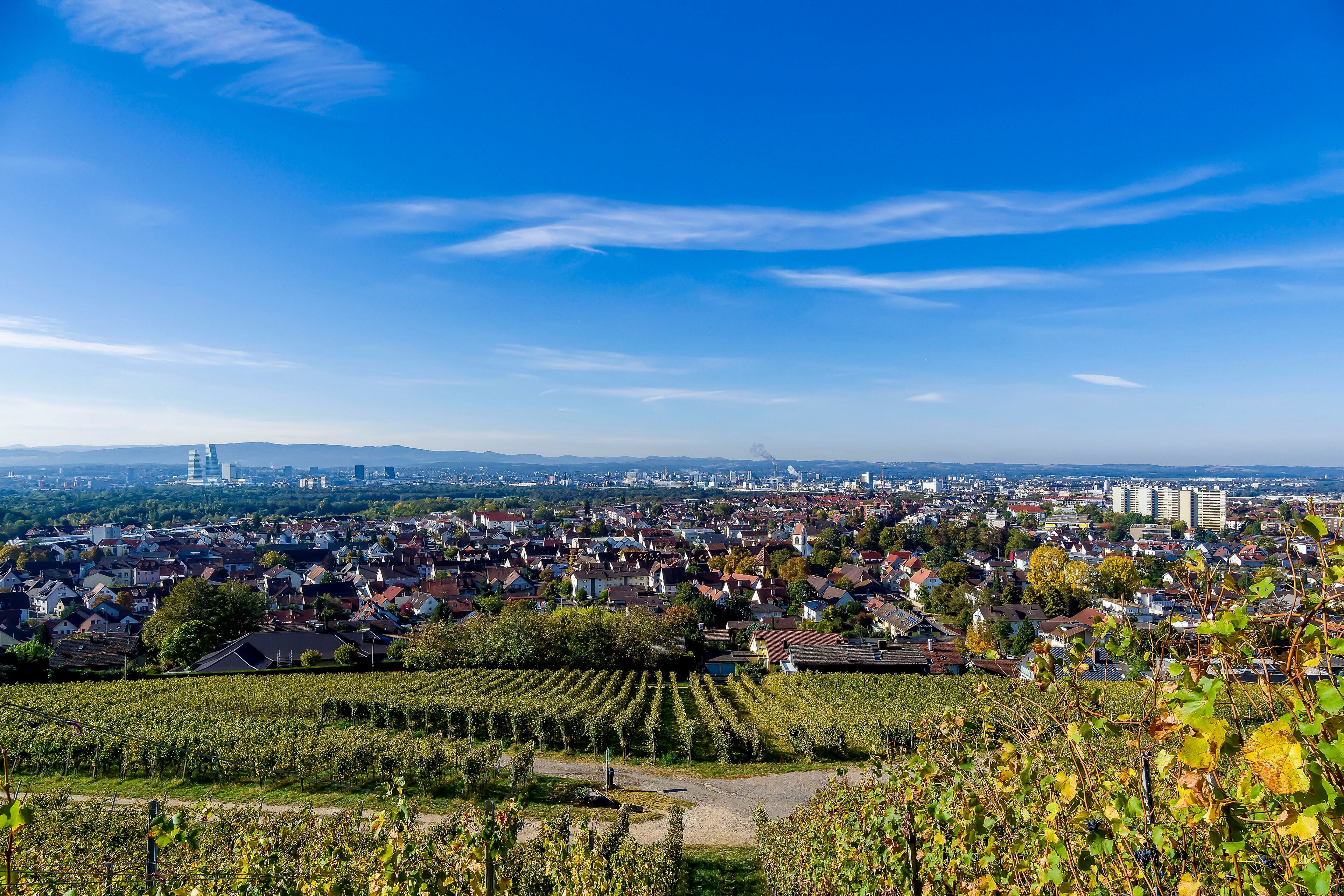 Herrlichen Blick auf das Dreiländereck. Weinberglandschaft und Weil am Rhein in Deutschland, Basel in der Schweiz. Jura und der Sundgau am Horizont