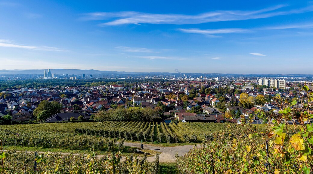 Herrlichen Blick auf das Dreiländereck. Weinberglandschaft und Weil am Rhein in Deutschland, Basel in der Schweiz. Jura und der Sundgau am Horizont
